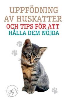 Uppf��dning av Huskatter och Tips f��r att H��lla dem N��jda