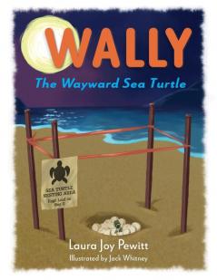 Wally The Wayward Sea Turtle