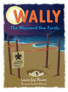 Wally The Wayward Sea Turtle