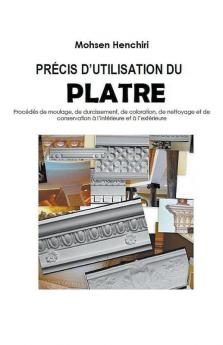 PRÉCIS D'UTILISATION DU PLATRE Procédés de moulage de durcissement de coloration de nettoyage et de conservation à l'intérieure et à l'extérieure