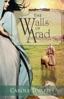 The Walls of Arad