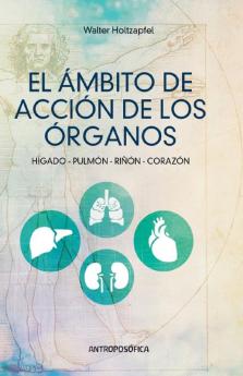 El Ámbito de Acción de los Órganos