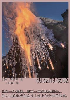明亮的夜晚 (Chinese Edition)