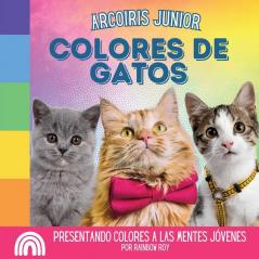 Arcoiris Junior Colores de Gatos