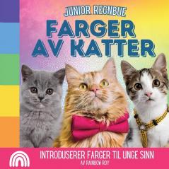 Junior Regnbue Farger av Katter