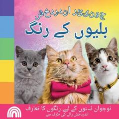 جونیئر اندردخش, بلیوں کے ... جان ) (Urdu Edition)