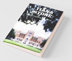 Tiana Stone : New Beginning Gone Wrong
