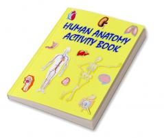 Human Anatomy Activity Book : An Educational and Interactive Book About Human Anatomy