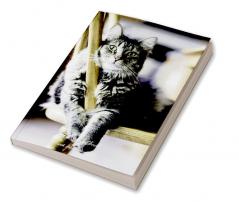 Password Book with Alphabetical Tabs : Cat Password Book To Protect Usernames and Passwords