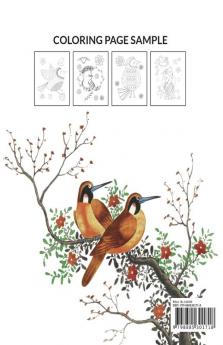 Birds Coloring Book : Exotic Birds Book | All The Birds In The Sky