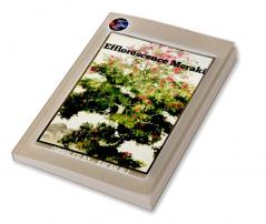 Efflorescence Meraki