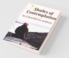 Shades Of Contemplation