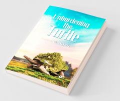Unburdening The Turtle