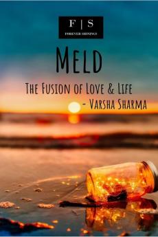 Meld : The Fusion of Love &amp; Life
