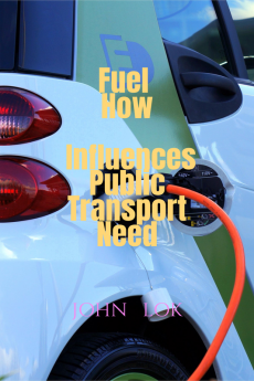 Fuel How Influences Public Transport Need