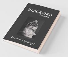 Blackbird: A Perception