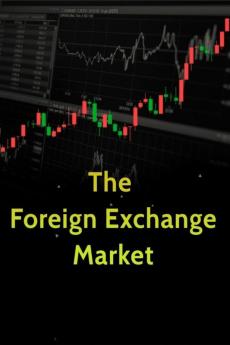 The Foreign Exchange Market