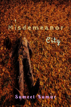 Misdemeanor City