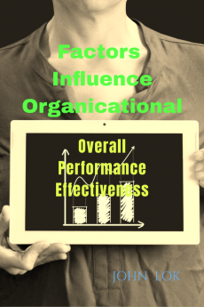 Factors Influence Organicational : Overall Performance Effectiveness