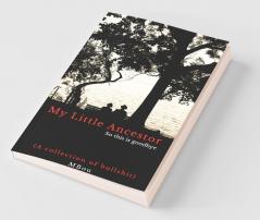 My Little Ancestor - So This Is Goodbye: A Collection Of Bullshit