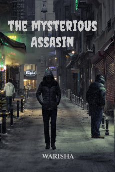 THE MYSTERIOUS ASSASIN
