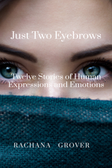 Just Two Eyebrows : Twelve Stories of Human Expressions and Emotions