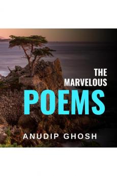 THE MISSING MAN : FINDING A MISSING MAN