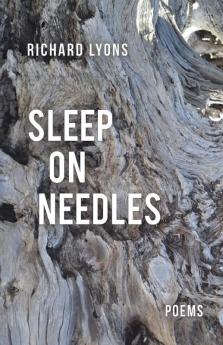 Sleep on Needles