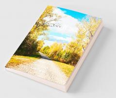 Sparkles Within Us Volume 9