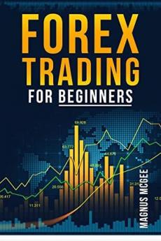 Forex Trading for Beginners Magnus Mcgee : Strategies Risk Management Methods and Fundamental Analysis for Foreign Exchange Trading (2022 Crash Course for Newbies)