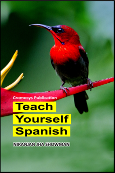 Teach Yourself Spanish