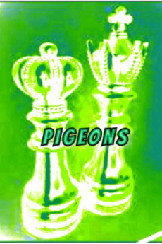 PIGEONS