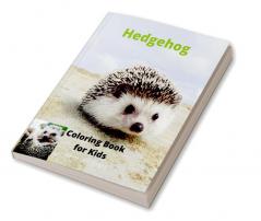 Hedgehog Coloring Book for Kids : Children Activity Book for Boys and Girls Ages 3-8 with Super Cute Hedgehog | A Super Cool Gift for Boys and Girls Ages 3-8 – Hedgehog Coloring and Activity Book ...