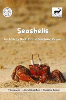 Seashells : An Activity Book for the Beach and Ocean