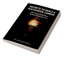 Secrets to Build a Successful Career : The Steps to Achieving Professional Success