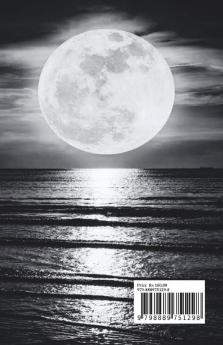night moon / रात की चाँदनी