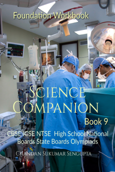 Foundation Workbook Science Companion Book 9 : CBSE ICSE ICSE High School National Boards State Boards Olympiads