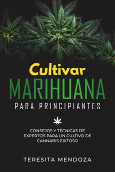 Cultivar Marihuana para Principiantes