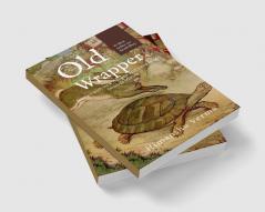 Old candies in new wrapper : Stories with new flavour and twist in old famous stories