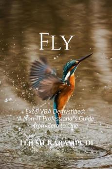 Fly: Excel VBA Demystified: A Non-IT Professional's Guide from Zero to One