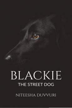 Blackie-The Street Dog