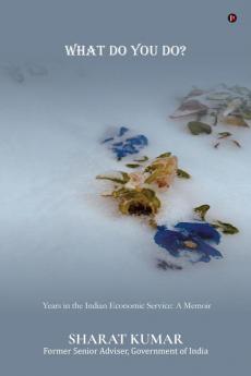 What Do You Do?: Years in the Indian Economic Service: A Memoir
