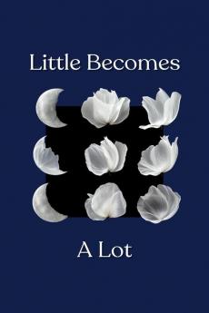 Little Becomes A Lot
