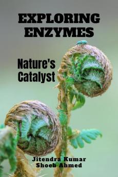Exploring Enzymes: Nature's Catalyst