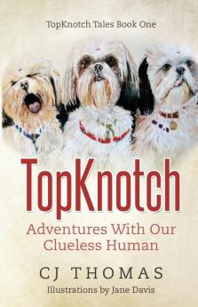 TopKnotch
