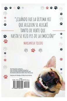 50 Cosas Que Nos Enseñan Los Perros (Spanish Edition)