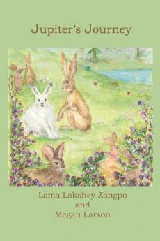 Jupiter's Journey