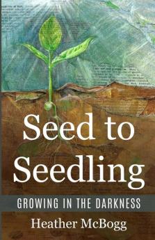 Seed to Seedling Growing in the Darkness