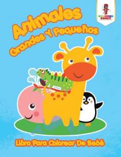 Animales Grandes Y Pequeños