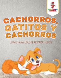 Cachorros Gatitos Y Cachorros